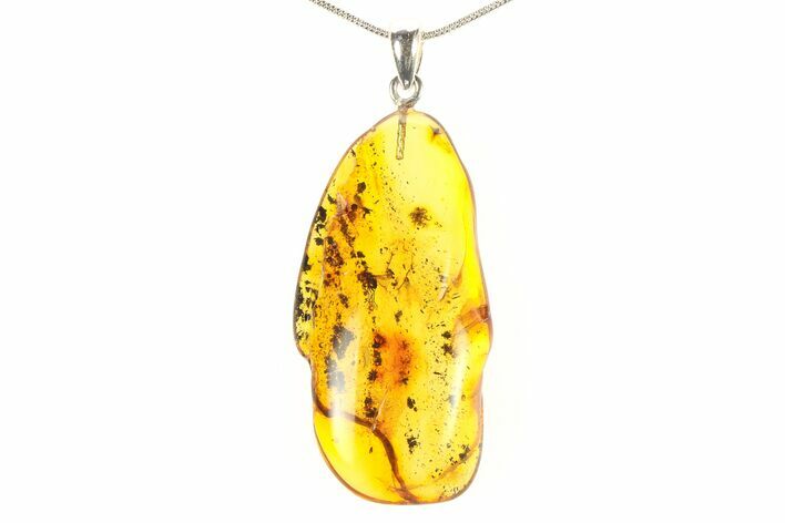 Polished Baltic Amber Pendant (Necklace) - Contains Fly! #297683